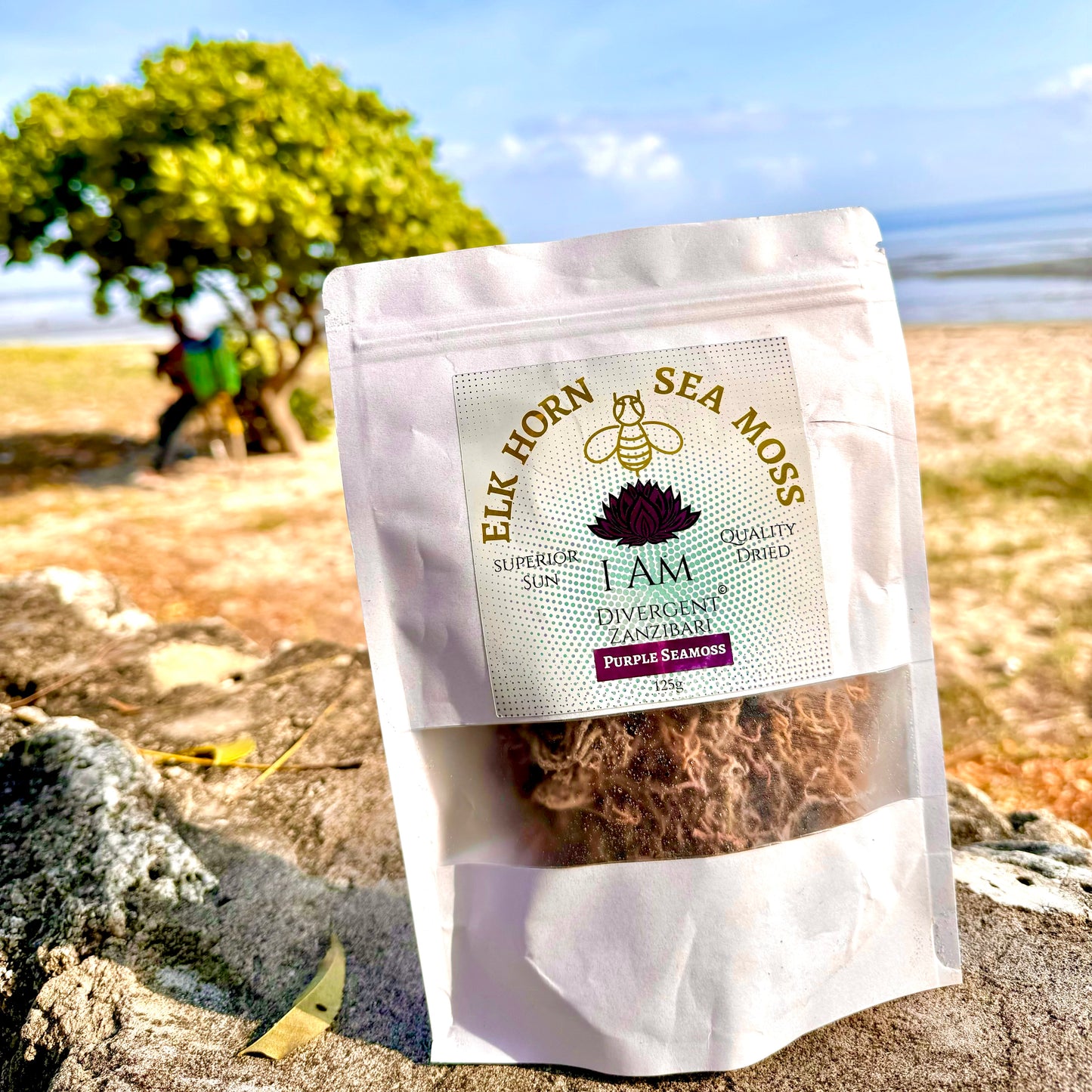 Sea Moss 125g Of Sun Dried Purple Seamoss from Zanzibar